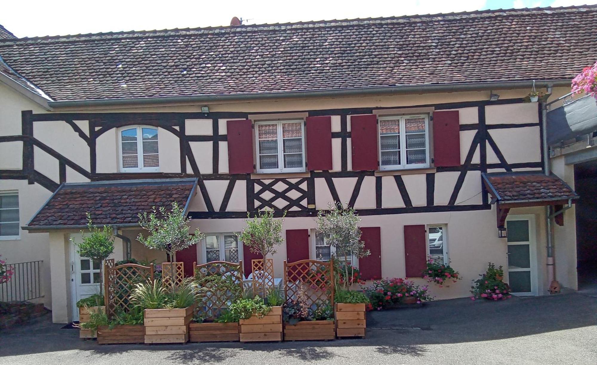 Willa Le Repaire Des Hirondelles - Le Colombage Scharrachbergheim-Irmstett Zewnętrze zdjęcie