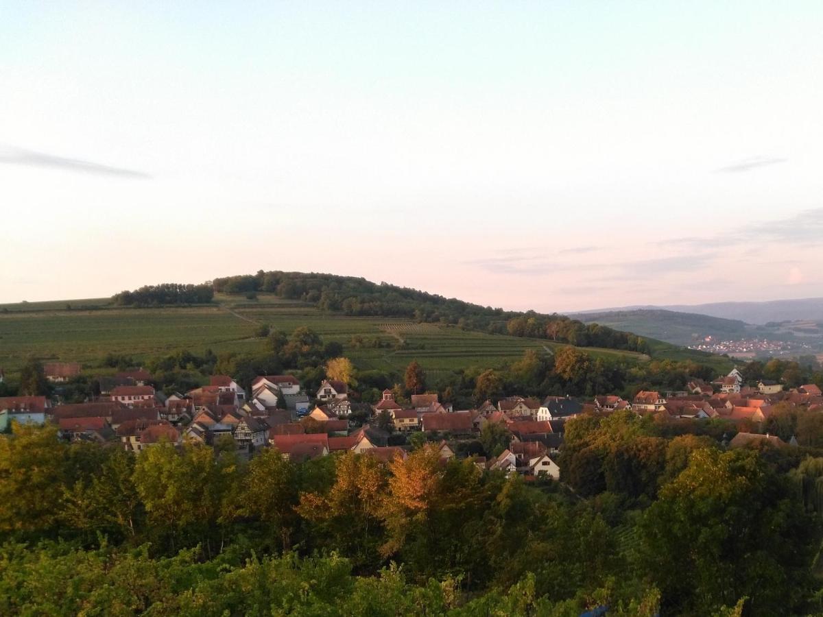 Willa Le Repaire Des Hirondelles - Le Colombage Scharrachbergheim-Irmstett Zewnętrze zdjęcie